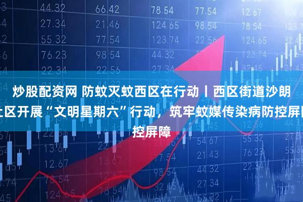 炒股配资网 防蚊灭蚊西区在行动丨西区街道沙朗社区开展“文明星期六”行动，筑牢蚊媒传染病防控屏障
