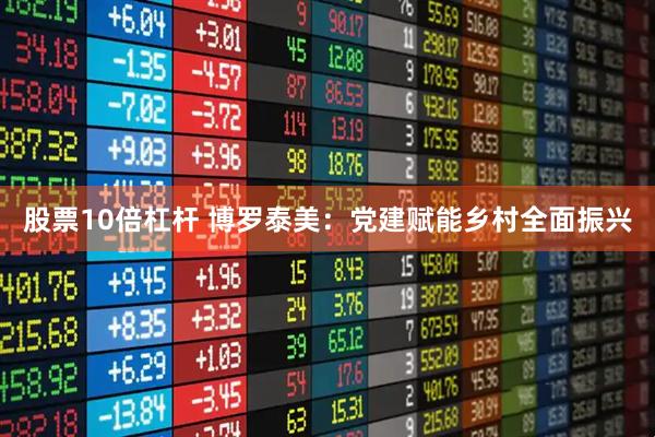 股票10倍杠杆 博罗泰美：党建赋能乡村全面振兴